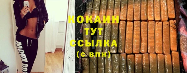 стаф Нея